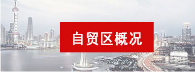 自貿區概況
